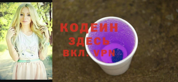 ГАЛЛЮЦИНОГЕННЫЕ ГРИБЫ Арсеньев