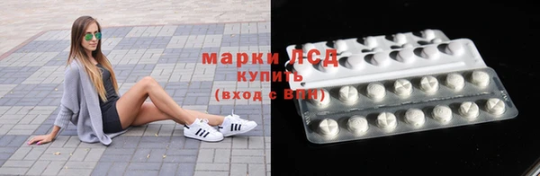 ГАЛЛЮЦИНОГЕННЫЕ ГРИБЫ Арсеньев