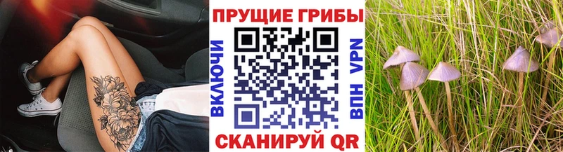Галлюциногенные грибы мицелий  Бирск 
